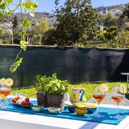 Estate4home - Louise Sorrente